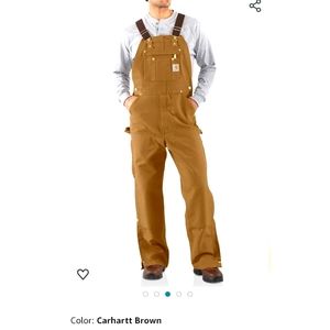 NWT-R37 Carhartt Men's Duck Zip-to-Thigh Bib Overall
